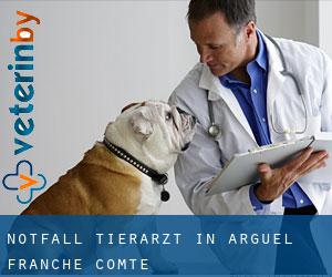 Notfall Tierarzt in Arguel (Franche-Comté)