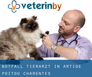 Notfall Tierarzt in Artige (Poitou-Charentes)