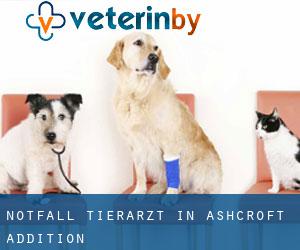 Notfall Tierarzt in Ashcroft Addition