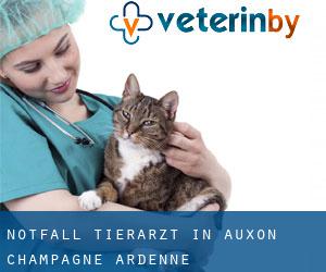Notfall Tierarzt in Auxon (Champagne-Ardenne)