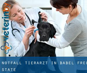 Notfall Tierarzt in Babel (Free State)