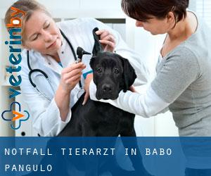 Notfall Tierarzt in Babo-Pangulo