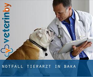 Notfall Tierarzt in Baka