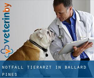 Notfall Tierarzt in Ballard Pines