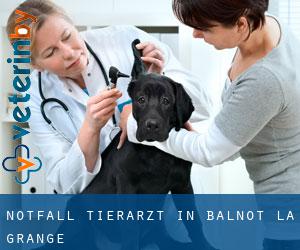 Notfall Tierarzt in Balnot-la-Grange