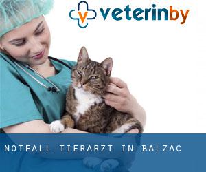 Notfall Tierarzt in Balzac