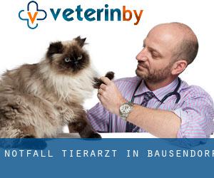 Notfall Tierarzt in Bausendorf