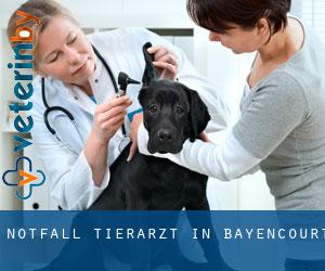 Notfall Tierarzt in Bayencourt
