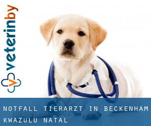 Notfall Tierarzt in Beckenham (KwaZulu-Natal)