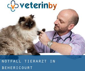 Notfall Tierarzt in Béhéricourt