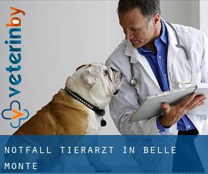 Notfall Tierarzt in Belle Monte