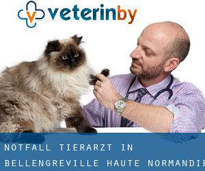 Notfall Tierarzt in Bellengreville (Haute-Normandie)