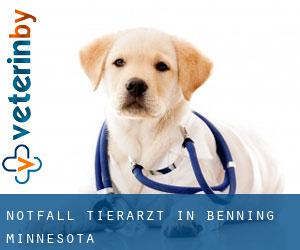 Notfall Tierarzt in Benning (Minnesota)