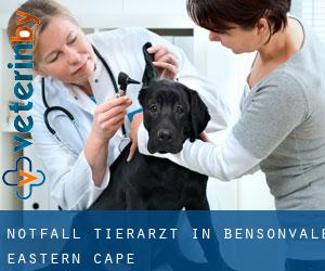 Notfall Tierarzt in Bensonvale (Eastern Cape)