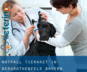 Notfall Tierarzt in Bergrothenfels (Bayern)