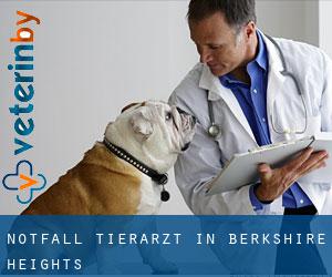 Notfall Tierarzt in Berkshire Heights