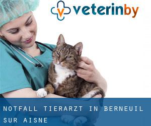 Notfall Tierarzt in Berneuil-sur-Aisne
