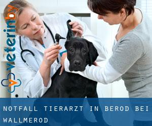 Notfall Tierarzt in Berod bei Wallmerod