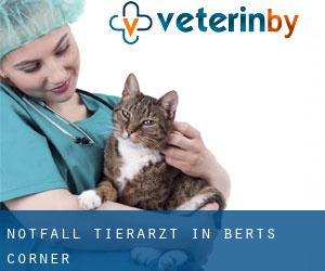 Notfall Tierarzt in Berts Corner
