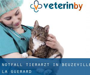 Notfall Tierarzt in Beuzeville-la-Guérard