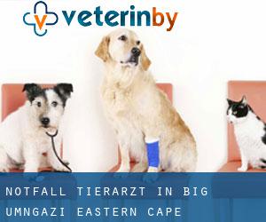 Notfall Tierarzt in Big Umngazi (Eastern Cape)
