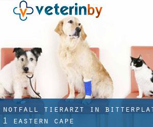 Notfall Tierarzt in Bitterplat (1) (Eastern Cape)