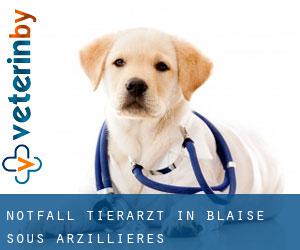 Notfall Tierarzt in Blaise-sous-Arzillières
