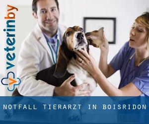 Notfall Tierarzt in Boisridon