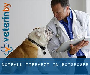 Notfall Tierarzt in Boisroger