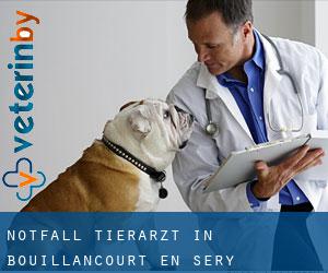 Notfall Tierarzt in Bouillancourt-en-Séry
