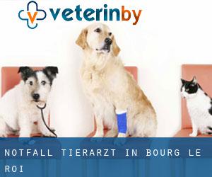 Notfall Tierarzt in Bourg-le-Roi