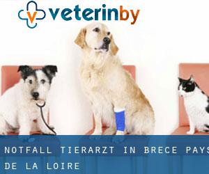 Notfall Tierarzt in Brecé (Pays de la Loire)