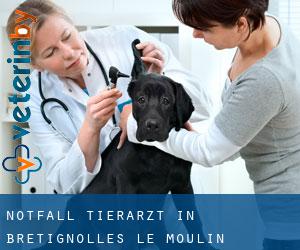 Notfall Tierarzt in Brétignolles-le-Moulin