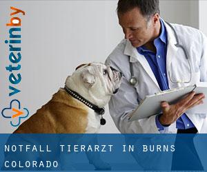 Notfall Tierarzt in Burns (Colorado)
