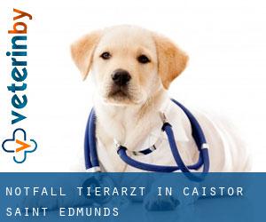 Notfall Tierarzt in Caistor Saint Edmunds
