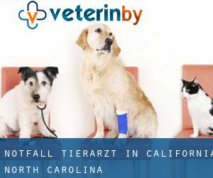 Notfall Tierarzt in California (North Carolina)