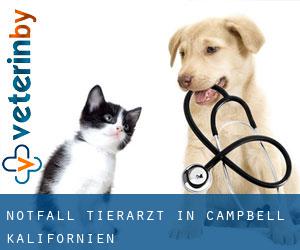 Notfall Tierarzt in Campbell (Kalifornien)