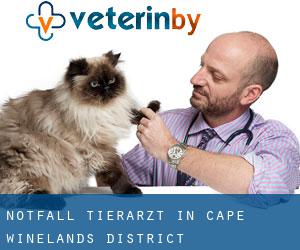 Notfall Tierarzt in Cape Winelands District Municipality