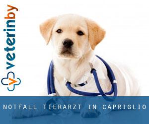 Notfall Tierarzt in Capriglio