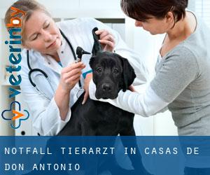 Notfall Tierarzt in Casas de Don Antonio