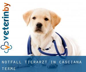 Notfall Tierarzt in Casciana Terme