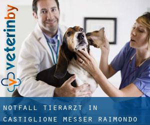 Notfall Tierarzt in Castiglione Messer Raimondo