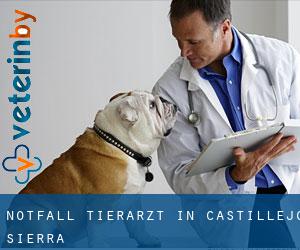 Notfall Tierarzt in Castillejo-Sierra
