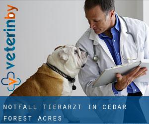 Notfall Tierarzt in Cedar Forest Acres