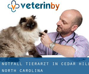 Notfall Tierarzt in Cedar Hill (North Carolina)