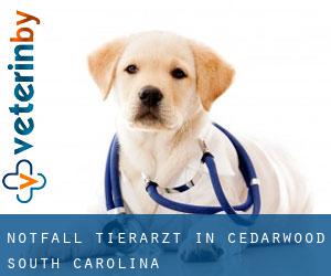 Notfall Tierarzt in Cedarwood (South Carolina)