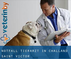 Notfall Tierarzt in Challand-Saint-Victor