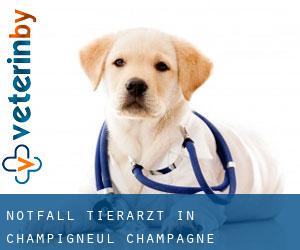 Notfall Tierarzt in Champigneul-Champagne