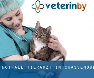 Notfall Tierarzt in Chassenoud