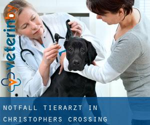Notfall Tierarzt in Christophers Crossing